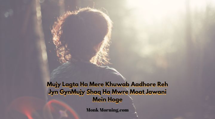 shayari in urdu text