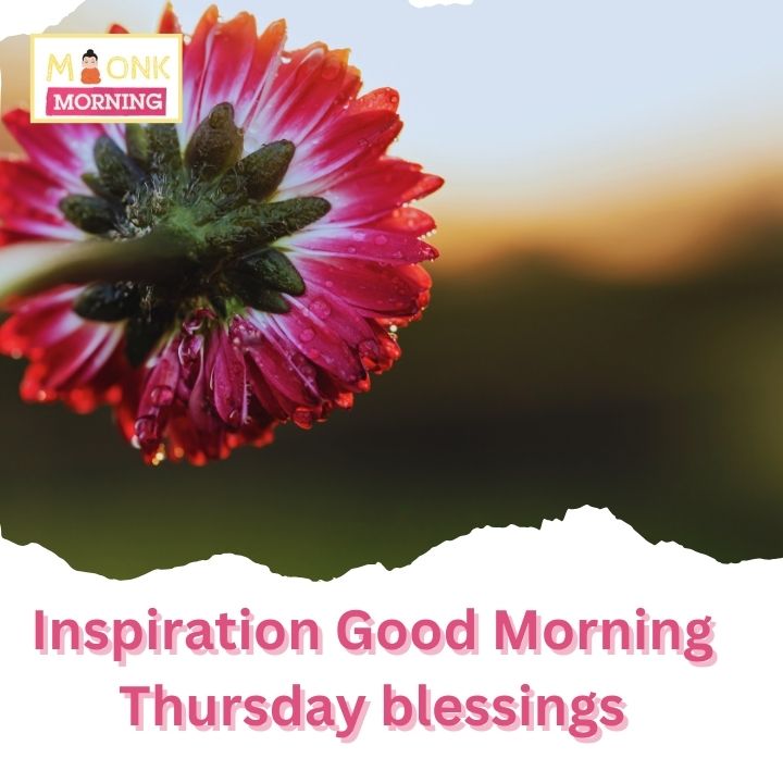 Inspiration Good Morning Thursday blessings