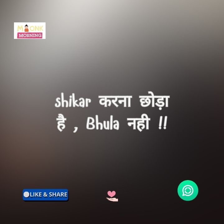 Whatsapp About Line In Hindi