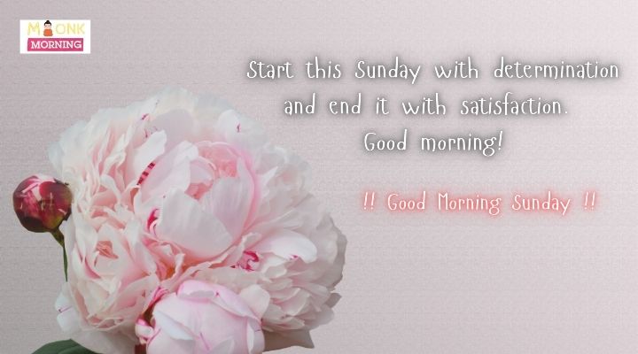 Good Morning Quotes on Sunday