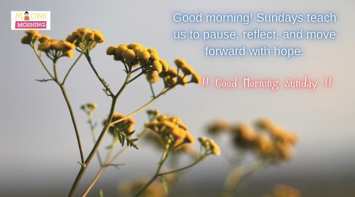 Good Morning Quotes on Sunday