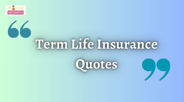 Term Life Insurance Quotes